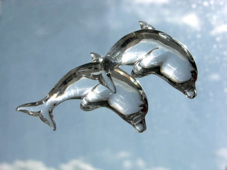 ice dolphins - ice, dolphins, blue