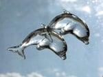 ice dolphins