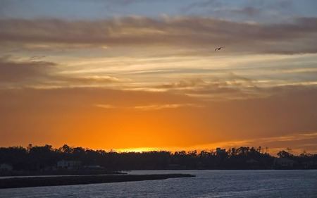 Pleasnat Sunset - ocean, beach, water, sunset, pleasant, stunning, bird, beautiful, scenery, skies, sunrise