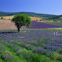 CALENDAR - MARCH 2010