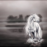 Ghost Horse