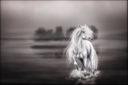 Ghost Horse - white, art, horse, black and white, fantasy, ghost horse