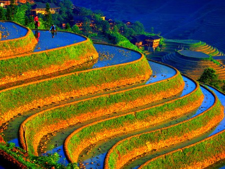 Chinese_Landscape - landscape, chinese, cool, colours of nature