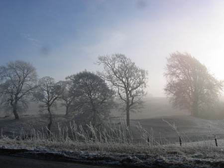 Early February morning Drive to Scotland - blue sky, trees, road, frost