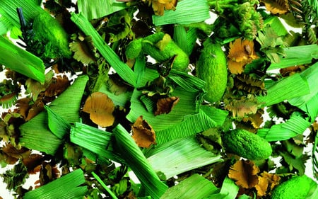 IMAGE OF GREEN PATTERNS - brown, scented, mint, leaves, green