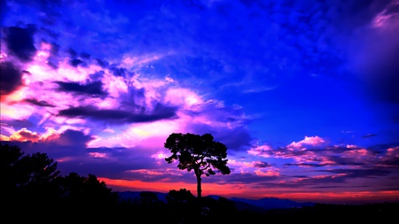 Living Tall - clouds, colorful, mountain, tree, sky