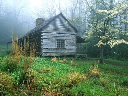 Old Country Cabin - cabin, farm, grass, trees