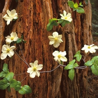 Tree Hugging Flowers