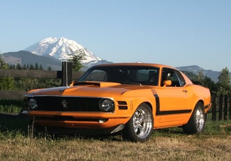 THE BOSS - shellby, muscle car, mustang, hot, automobile, automotive, power