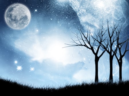 Silver Night - moon, night, forest, cool