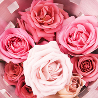 Pink Flowers in Basket