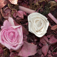 2 Pink Flowers in the Ground