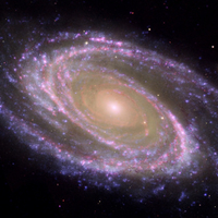 M81 Galaxy - Pink Coloration