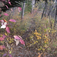 trails of fall