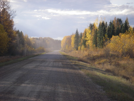 afternoon colours - landscape