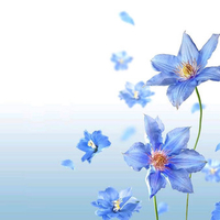 Blue Flowers