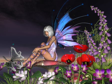 fairy - fairy, 3d