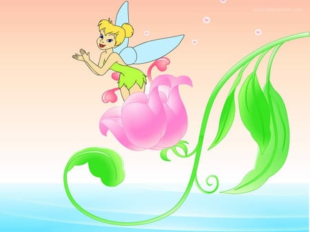 background  c 25. jpg - spring, flower, cute, tinkerbell