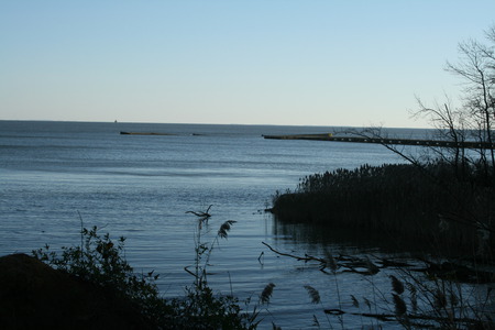 Chesapeake Bay Shoreline - water, nature, shoreline, sky