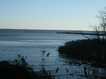 Chesapeake Bay Shoreline