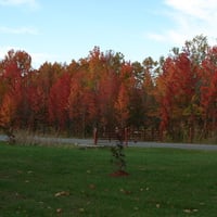 Fall Colors in North Point State Park in Maryland