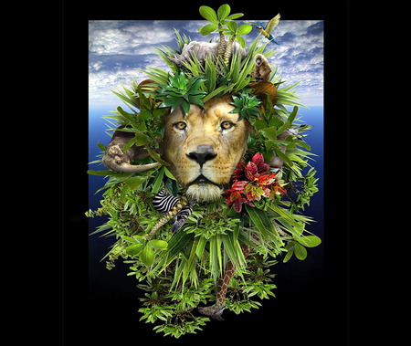 King of the Jungle - lion, hot, cat, animals, kool