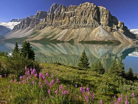 canada landscape  - lake, mountain, field, flowers, sea