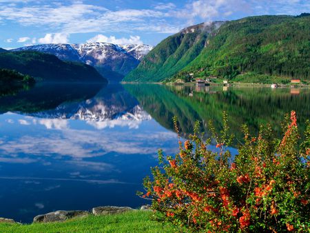 Scandinavia - sky, lake, forest, mountains, landscape, flowers, nature