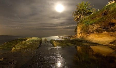 THE PATH TO THE MOON - moon, ocean, trees, cliff, night shot