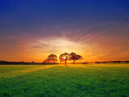 Behind Trees - beauty of nature, cool, behind trees