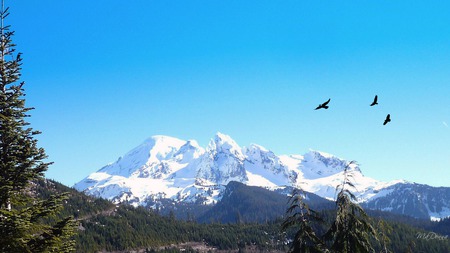 West Side Mount Baker - widescreen, forest, mountains, washington, sky