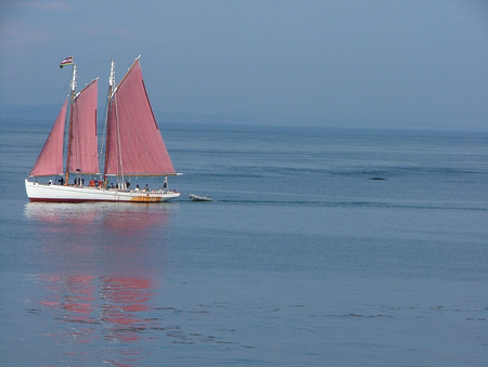 sailboat - boats, ocean, water, sailboat