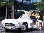 Model/Gull Wing Mercedes