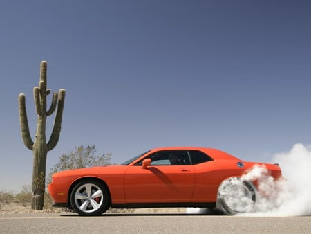 Burning Rubber............... - cars, trucks