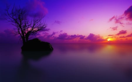 Maldivian Sunset - sky, trees, evenings, peaceful, sun, water, sunset, fantasy, mist, lakes, painting, gorgeous, art, purple, maldivian, clouds, sunsets, tree, waterscapes, dusk, ocean, violet, nature, wetlands, colours, pink, fogg, beautiful, island, twilight, horizons, sea