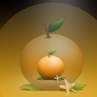 Orange fruit 3D