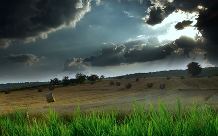 hayfield - nature, sunset, hot, hayfield