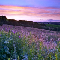 Fields at Sunset