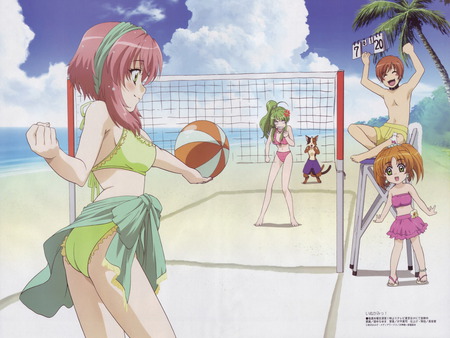 fun on the beach and the sun raises - anime, girls, inukami, other