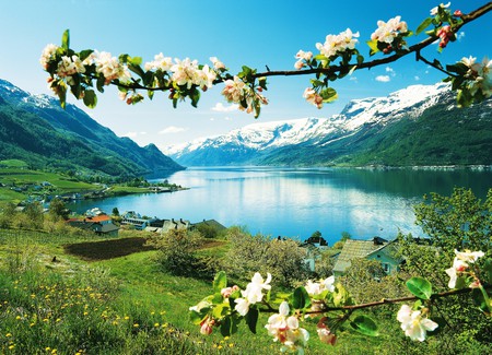 HardangerLofthus Norway - flowers, nature, landscape, snow, lake, mountains