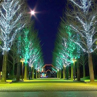 Trees on Light