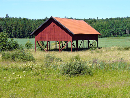 Unusual Barn - trees, barn, field, farm, building