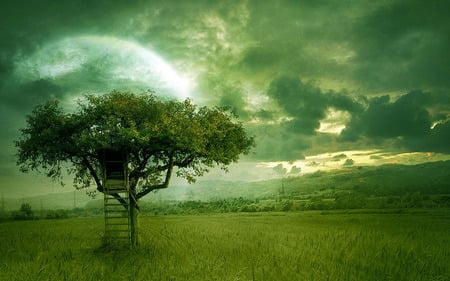 Green_Dream - sky, sun, green, tree, field, scene