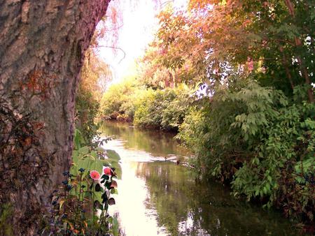 Sunset Autumn Creek - reflections, yellow, rivers, creek, sunrise, sunsets, leaves, flowers, trunks, red, seasons, nice, sun, trees, beautiful, photography, reflected, gold, colors, cool, orange, natural, nature, autumn, leaf, lakes