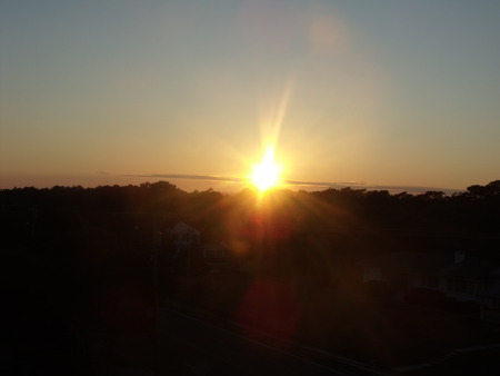 Pretty - sky, trees, sun