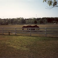 Horse Ranch In Texas