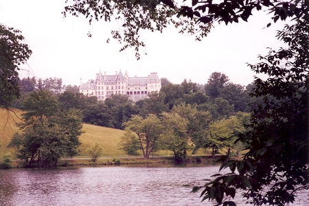 Biltmore House 2 - water, biltmore house, pond, trees