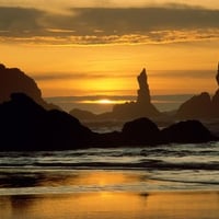 Coquilla Point, Oregon Islands National Wildlife Refuge, Oregon