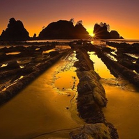 Olympic National Park