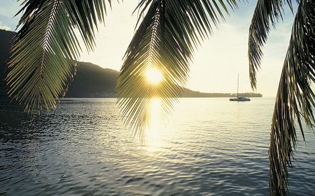 Moorea Island - sky, palm trees, ocean, sun, sunset, mountains, nature, island, sunrise